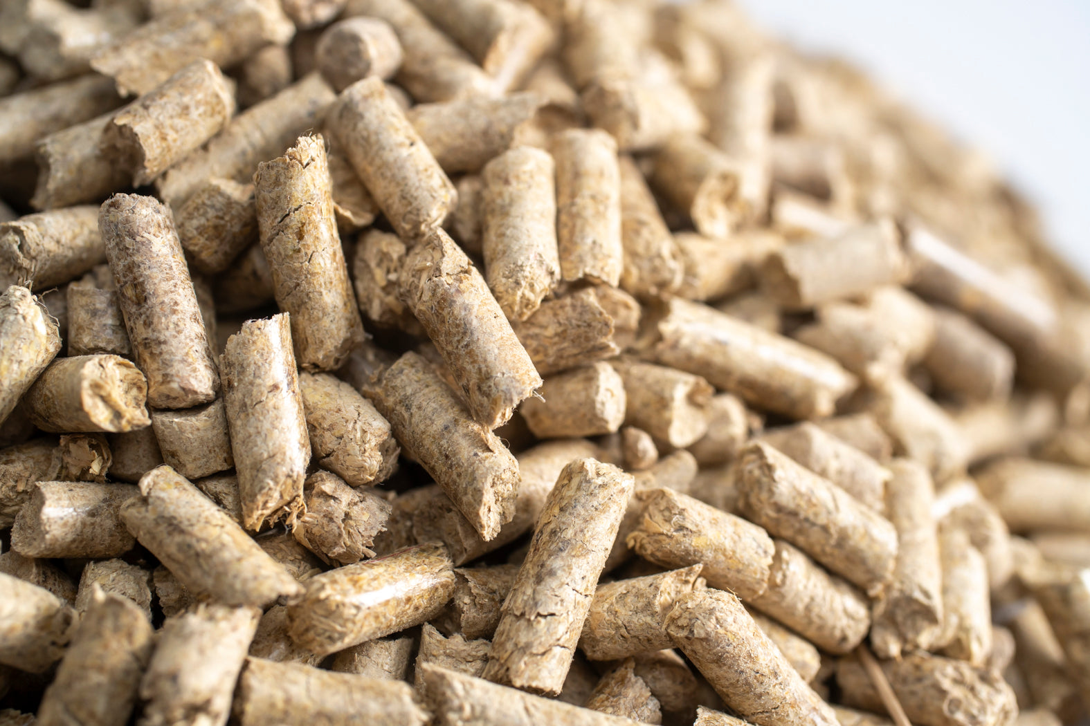 Prairie Clean Litter (10lb)